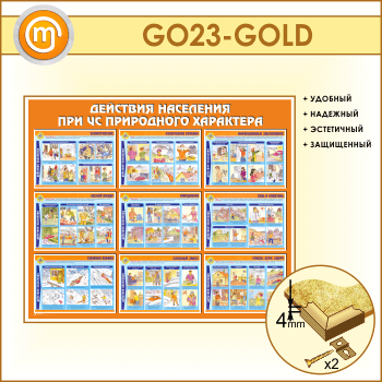        (GO-23-GOLD)